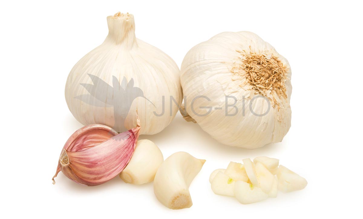 Ajo