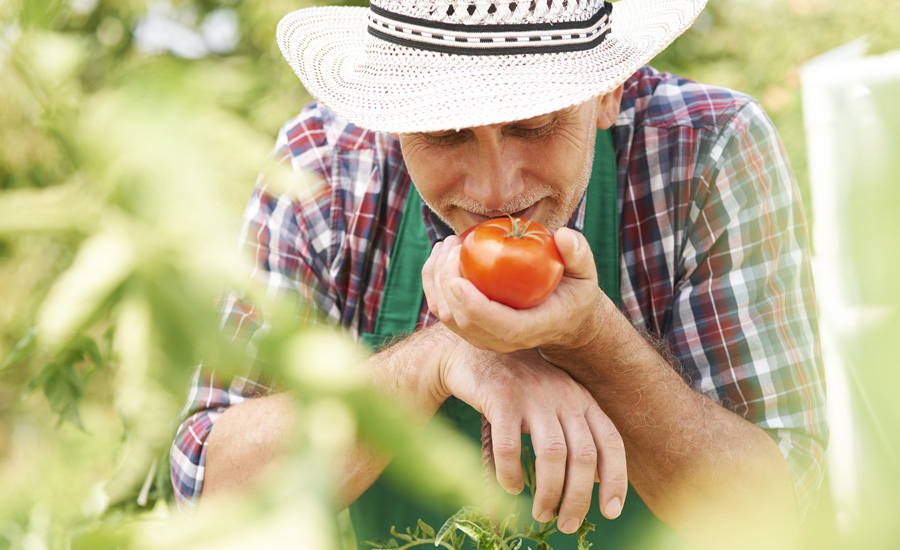 vegetales y fruta ultracongelada